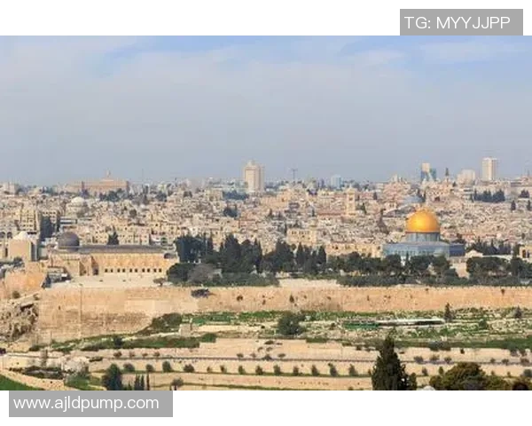 以色列足球明星全景展示汇总及精彩瞬间回顾